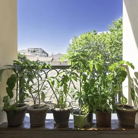 A2 Staywizus-duplex Vieil Sea View, 3 Bdr, Ac, Terrasse Apartmán Antibes